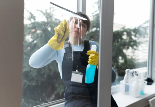 Nettoyage de vitres intérieures et extérieures à Viévy
